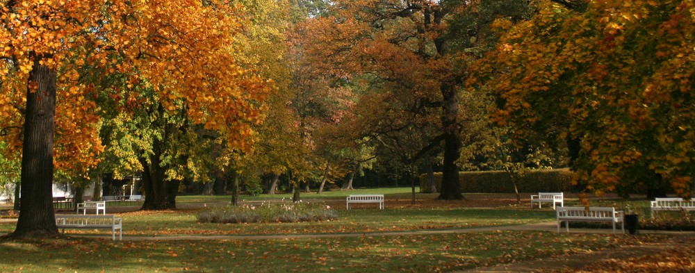 Irrgarten Altjeßnitz