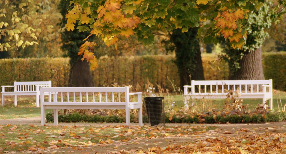 Irrgarten Altjeßnitz II