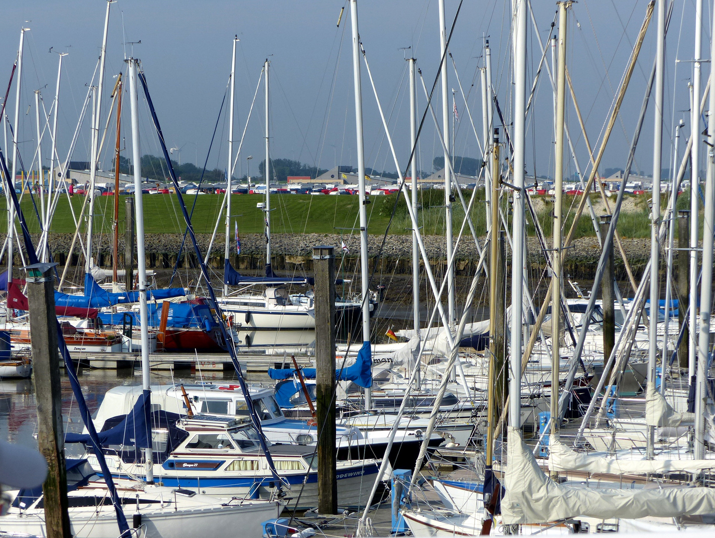 Irrgarten irgendwo an der Nordsee