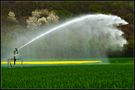 Irrigation. de djanet 