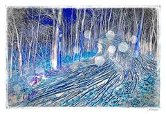 - Irrlichter im blauen Wellen-Wald -