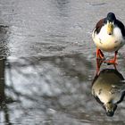 Irrtum, da ist kein Wasser sondern Eis