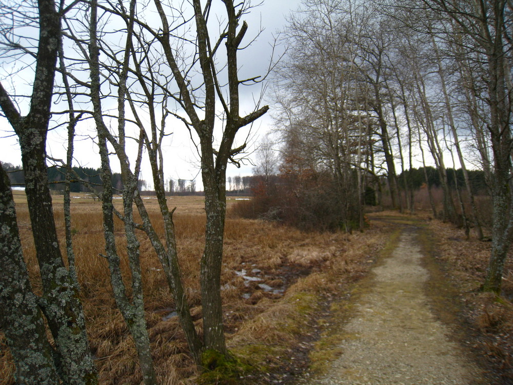 Irrweg