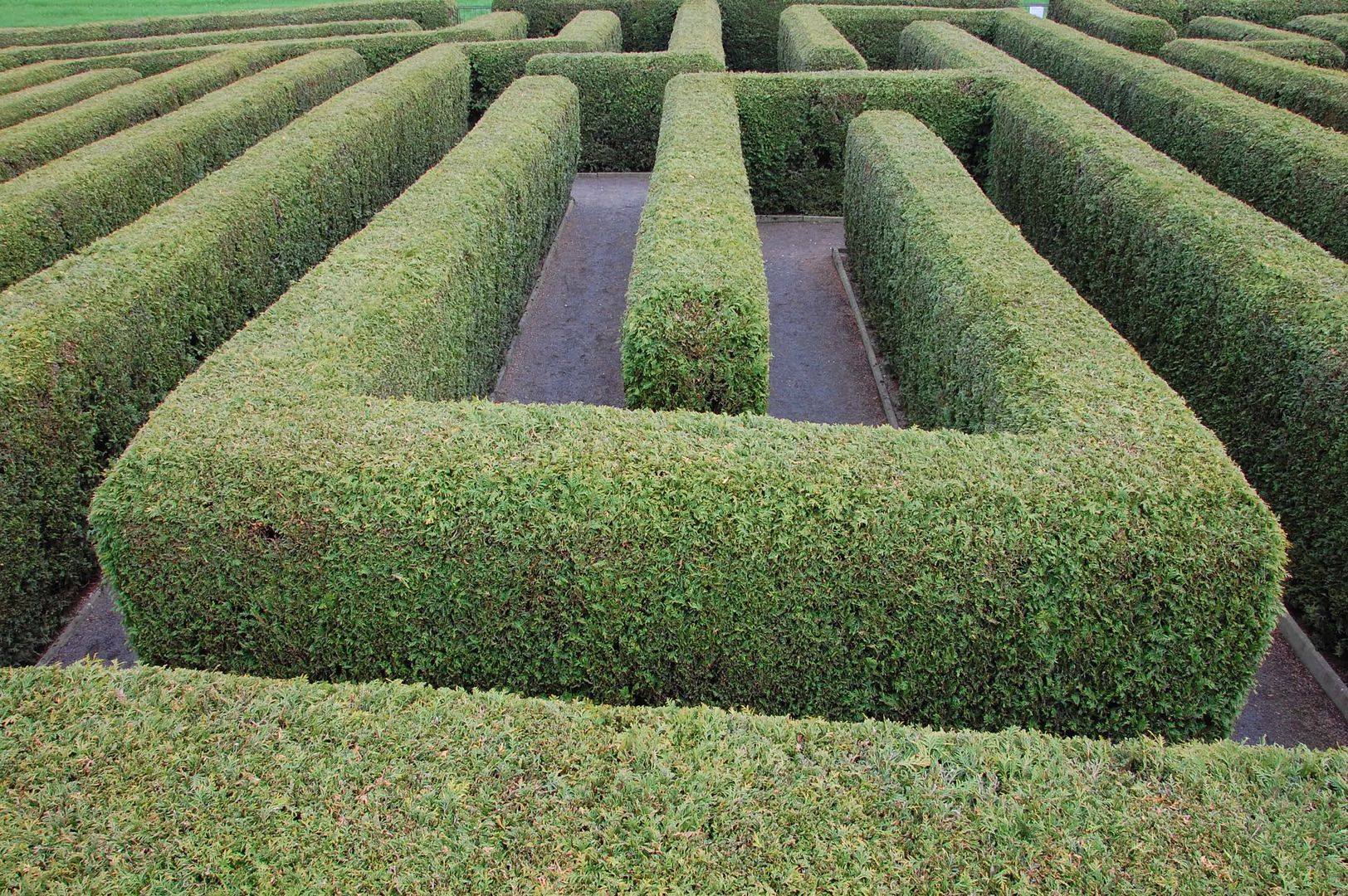 Irrweg durch Leben