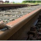 "Irrweg" - Weinbergschnecke auf Bahngleis