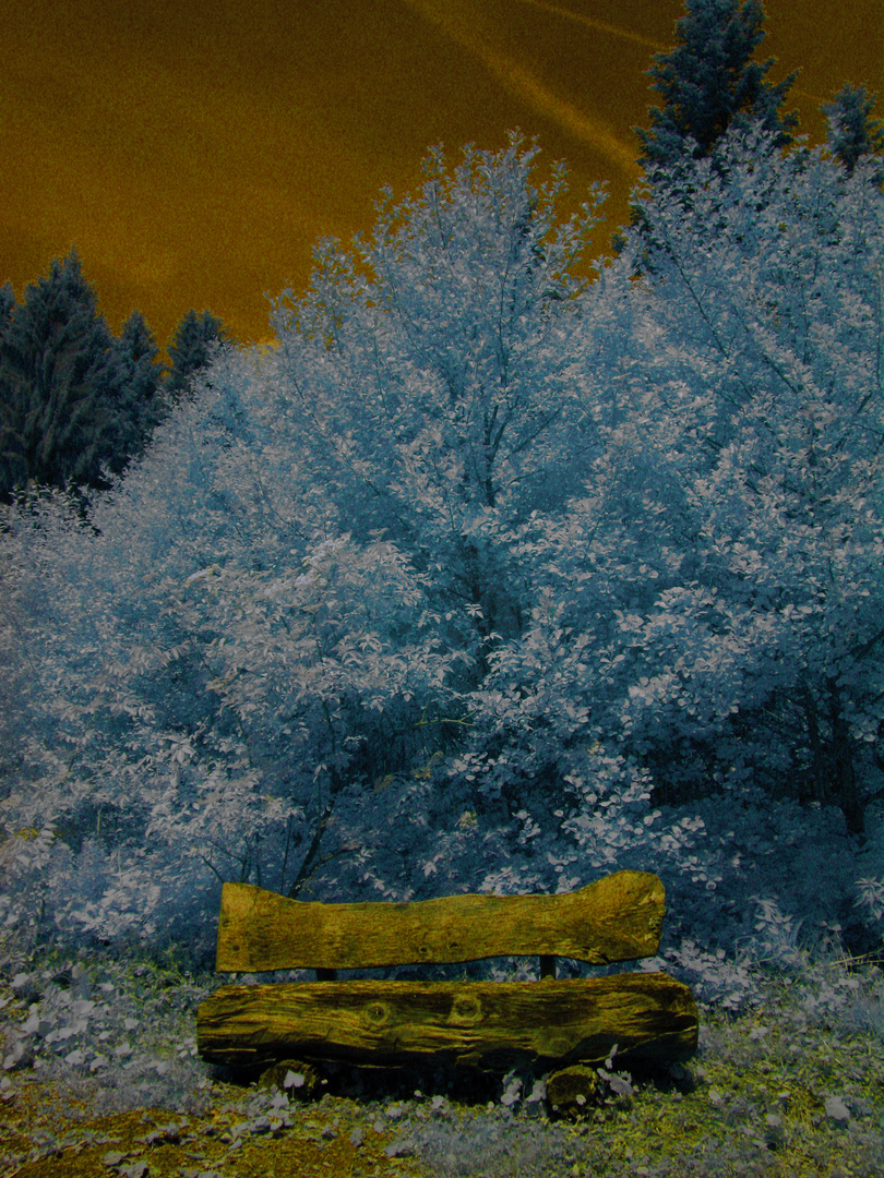 ir_welt_53