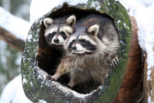 ..Is das neue Jahr schon da???und wo is unser Sekt??