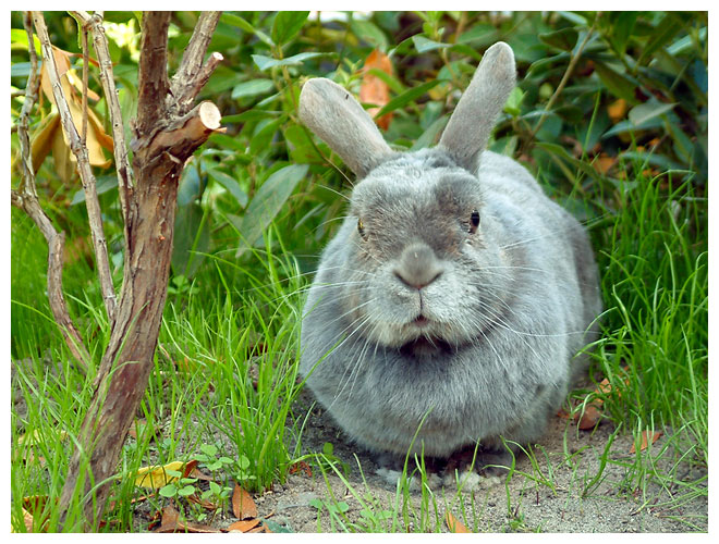 ... is doch noch nicht Ostern?!