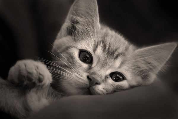 is er nich süß :-)