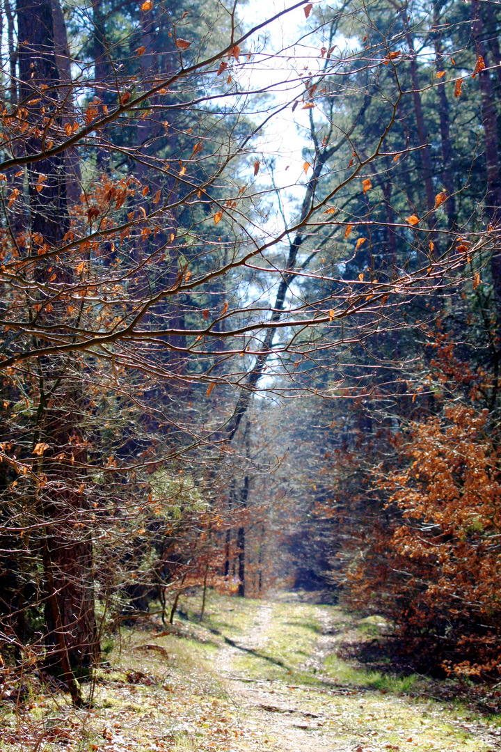 Is' noch kein Frühling