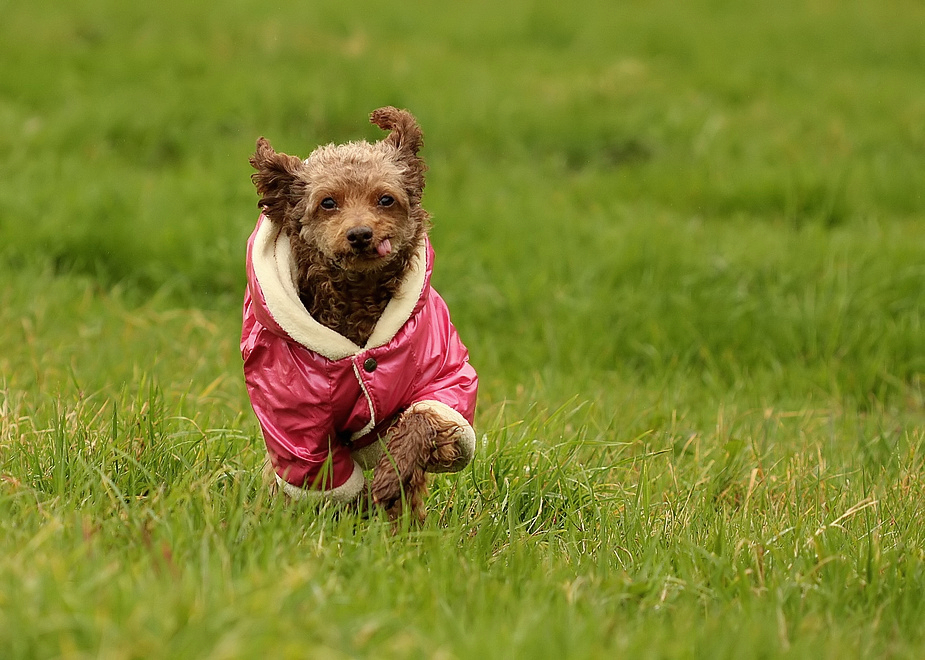 Is' schlechtes Wetter????