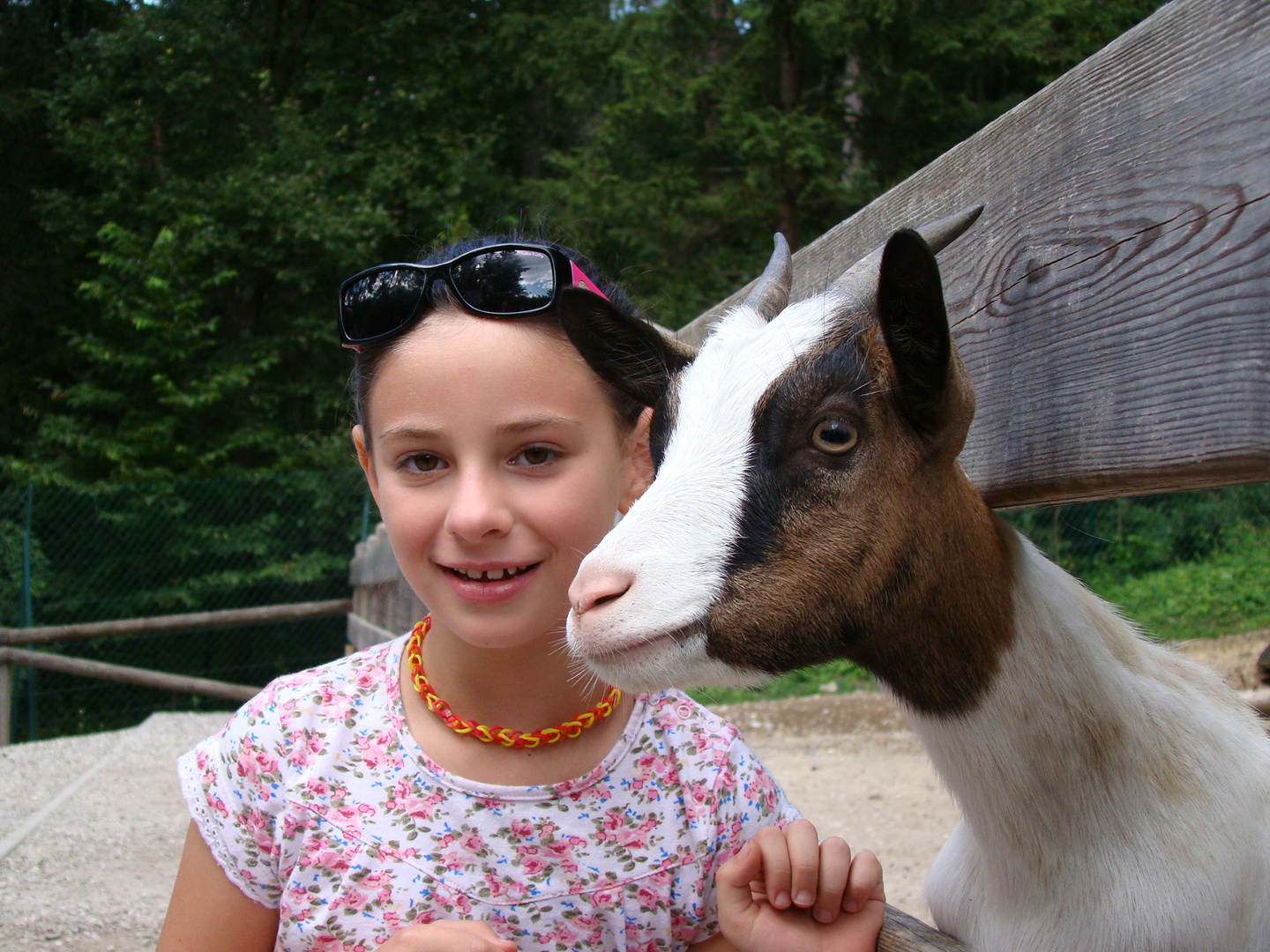 isa e capretta