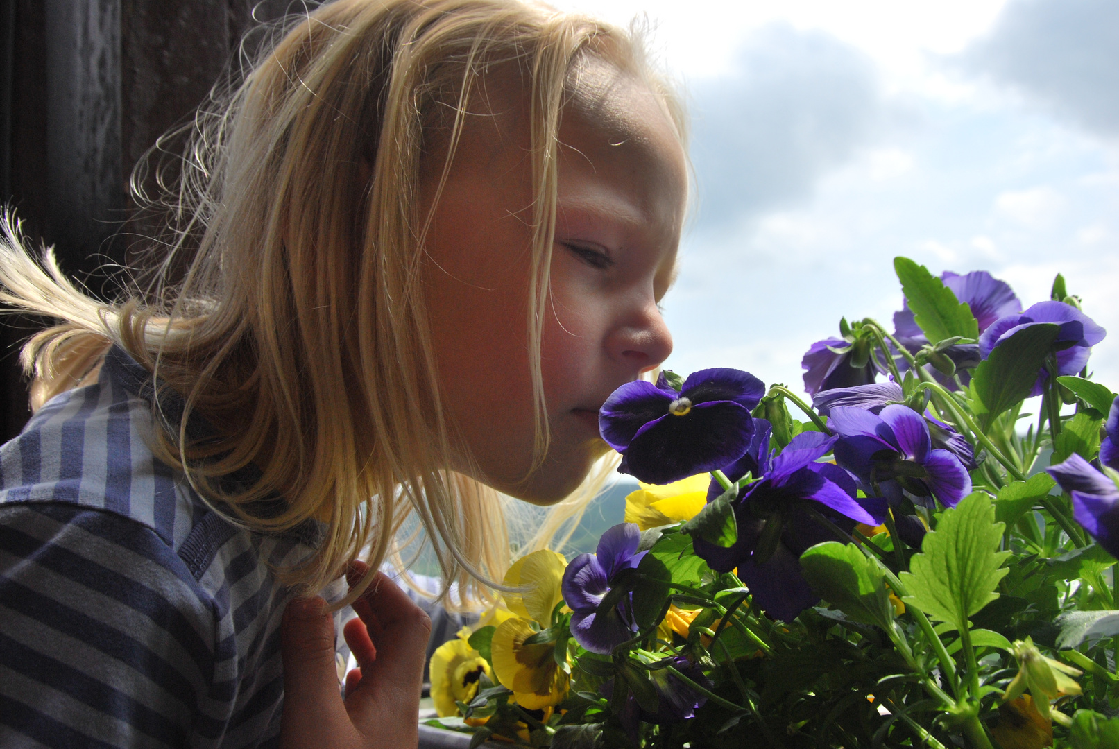 Isabelle und die Blumen