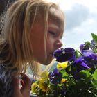 Isabelle und die Blumen