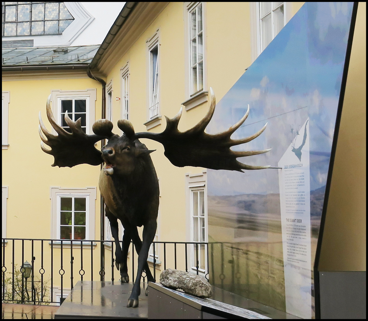 ISalzburg Haus der Natur