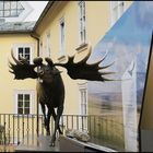 ISalzburg Haus der Natur