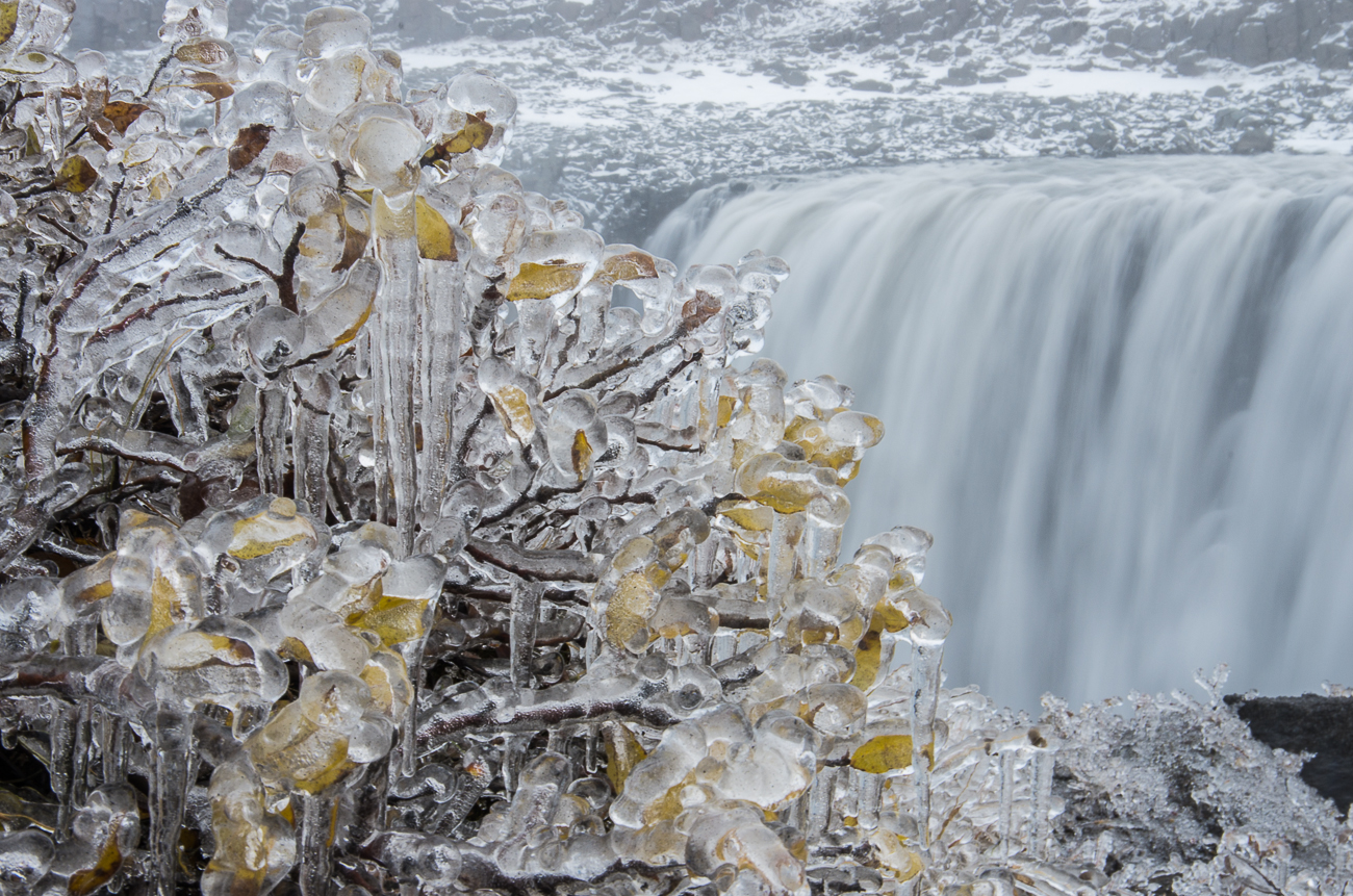 Isand - Dettifoss im Herbst