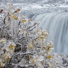 Isand - Dettifoss im Herbst