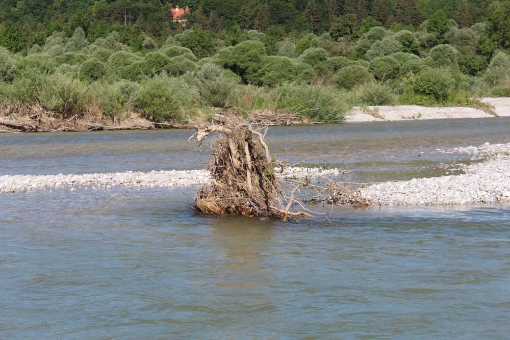 Isar 1