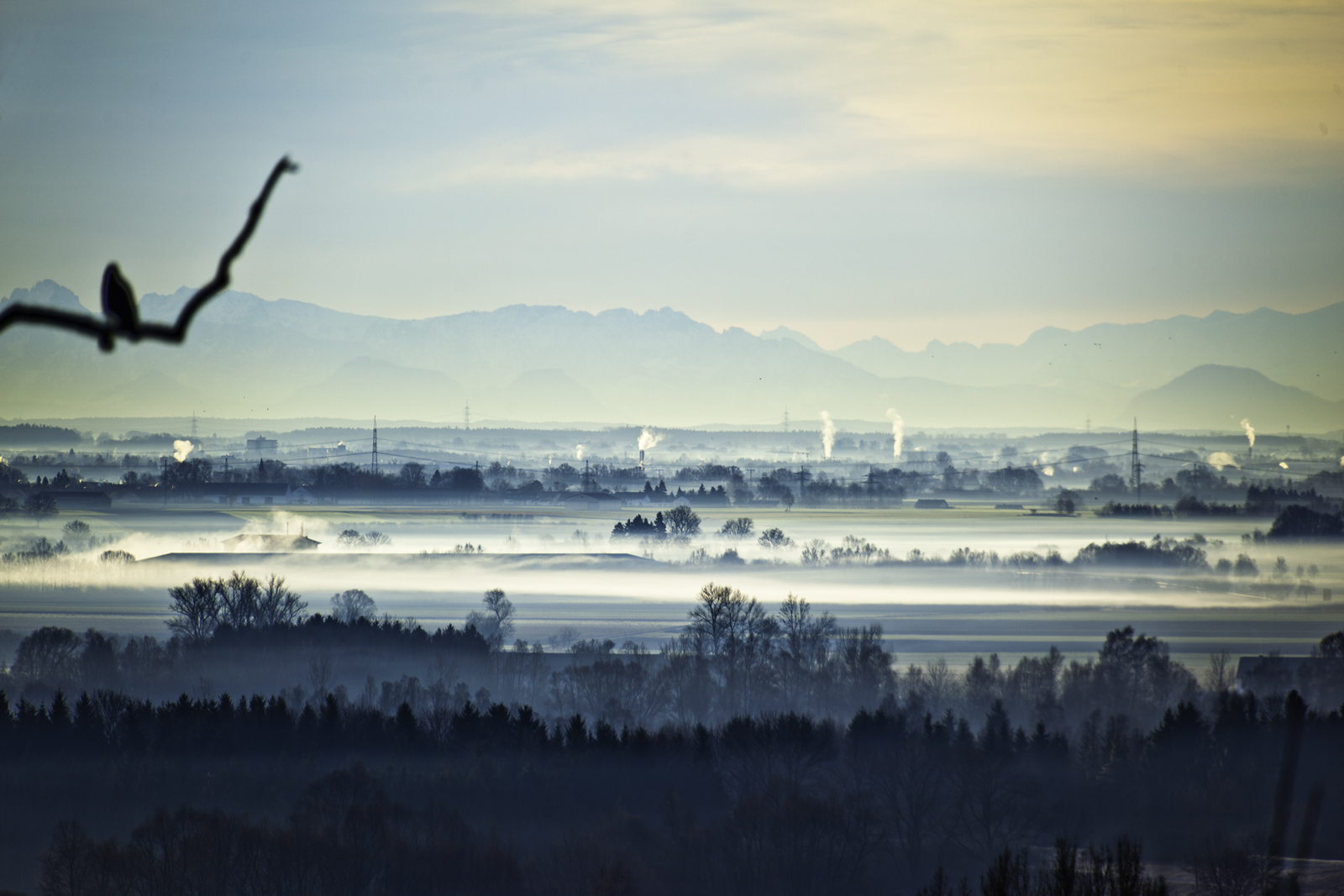 Isar-Auen am Morgen