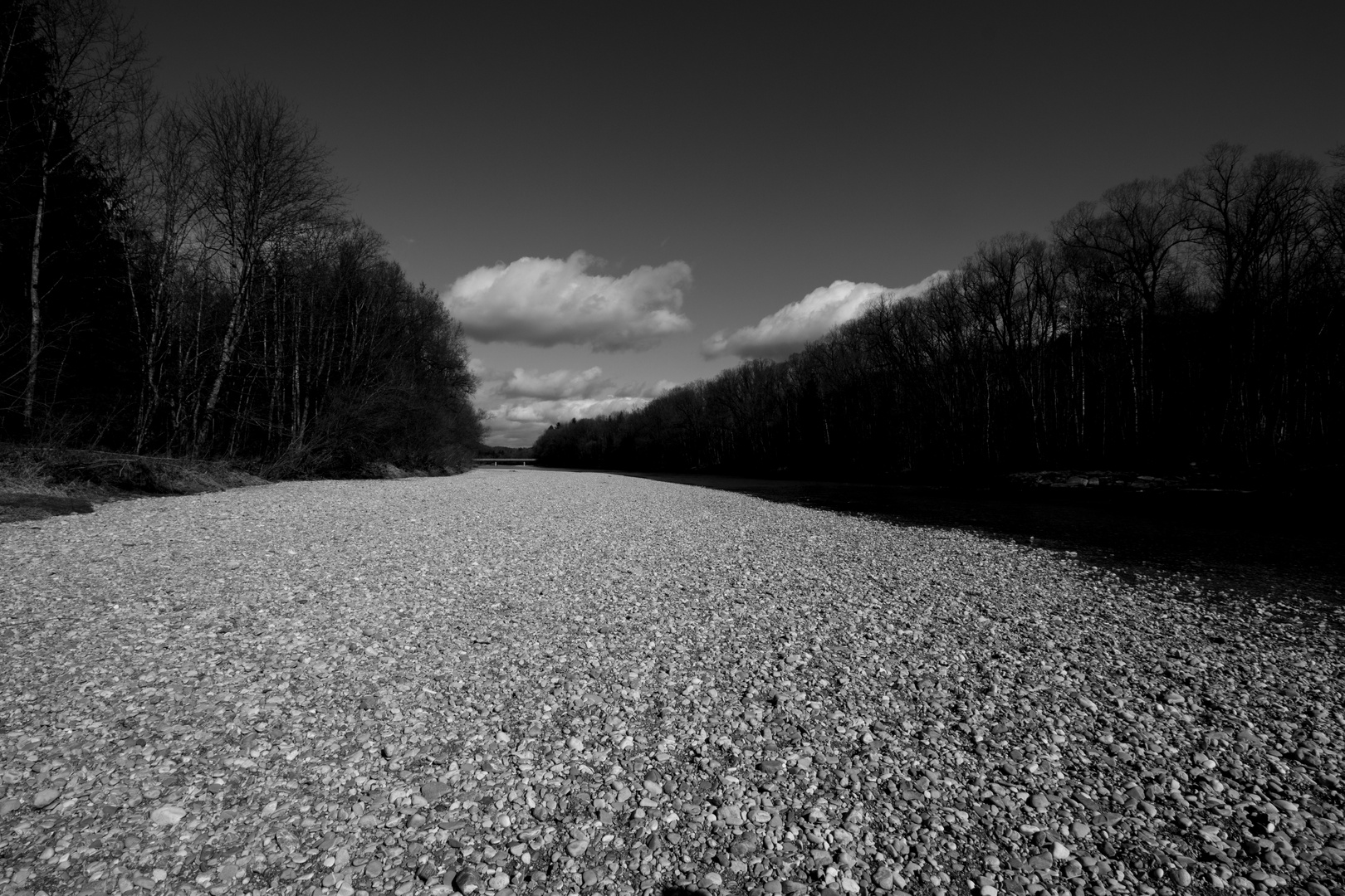 Isar-Auen schwarz-weiß