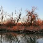 Isar Auen Sunset