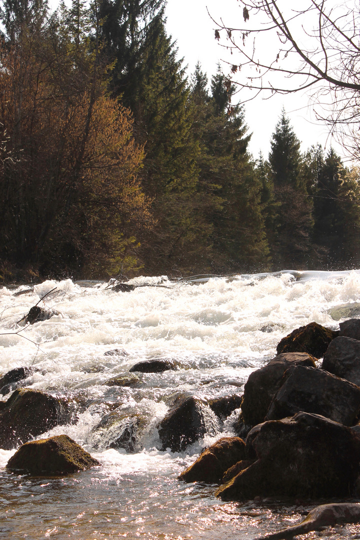 Isar - Bayern