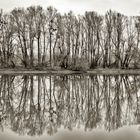 Isar Belichtungsreihe 2