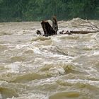 Isar, die Reißende in Lenggries