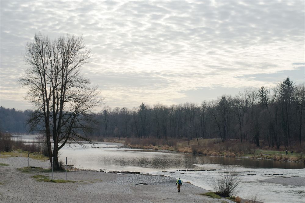 Isar im Winter....