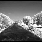 Isar in München