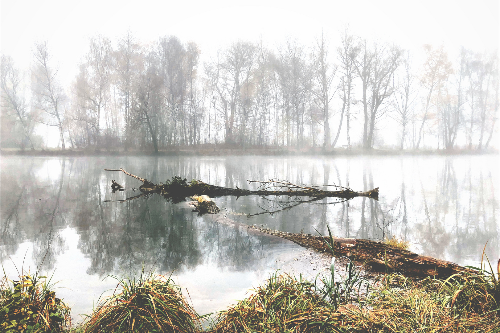 Isar LA im November