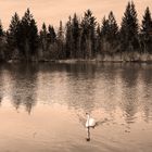 Isar-Stausee Bad Tölz