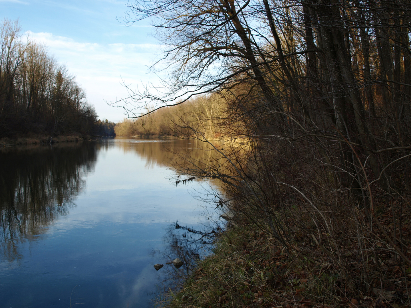 Isarauen bei Ismaning, Dezember 2015