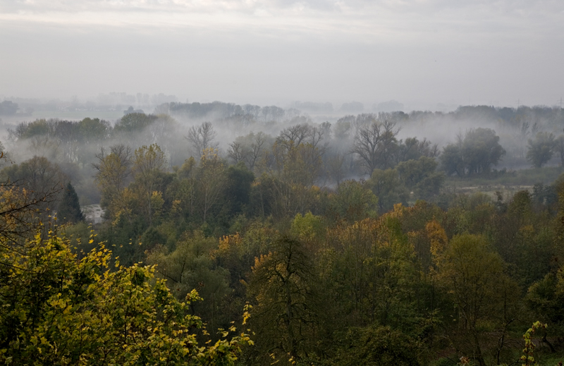 Isarauen heute Morgen