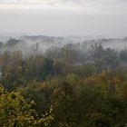 Isarauen heute Morgen