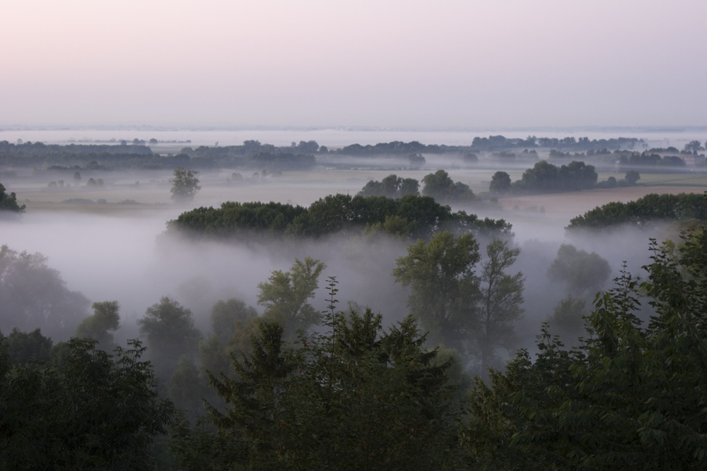 Isarauen und Erdinger Moos vor Sonnenaufgang