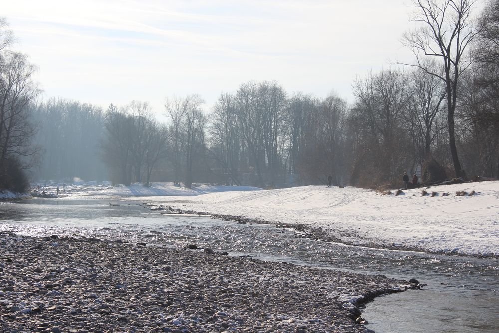 Isarauenlandschaft im Winter