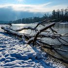 Isarflimmern im Winter