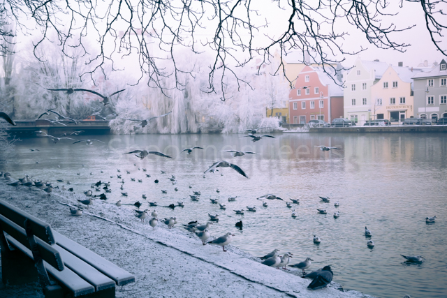 Isargestade an einem frostigen Morgen