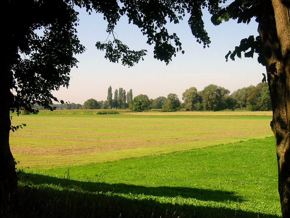 Isarradweg bei Landshut