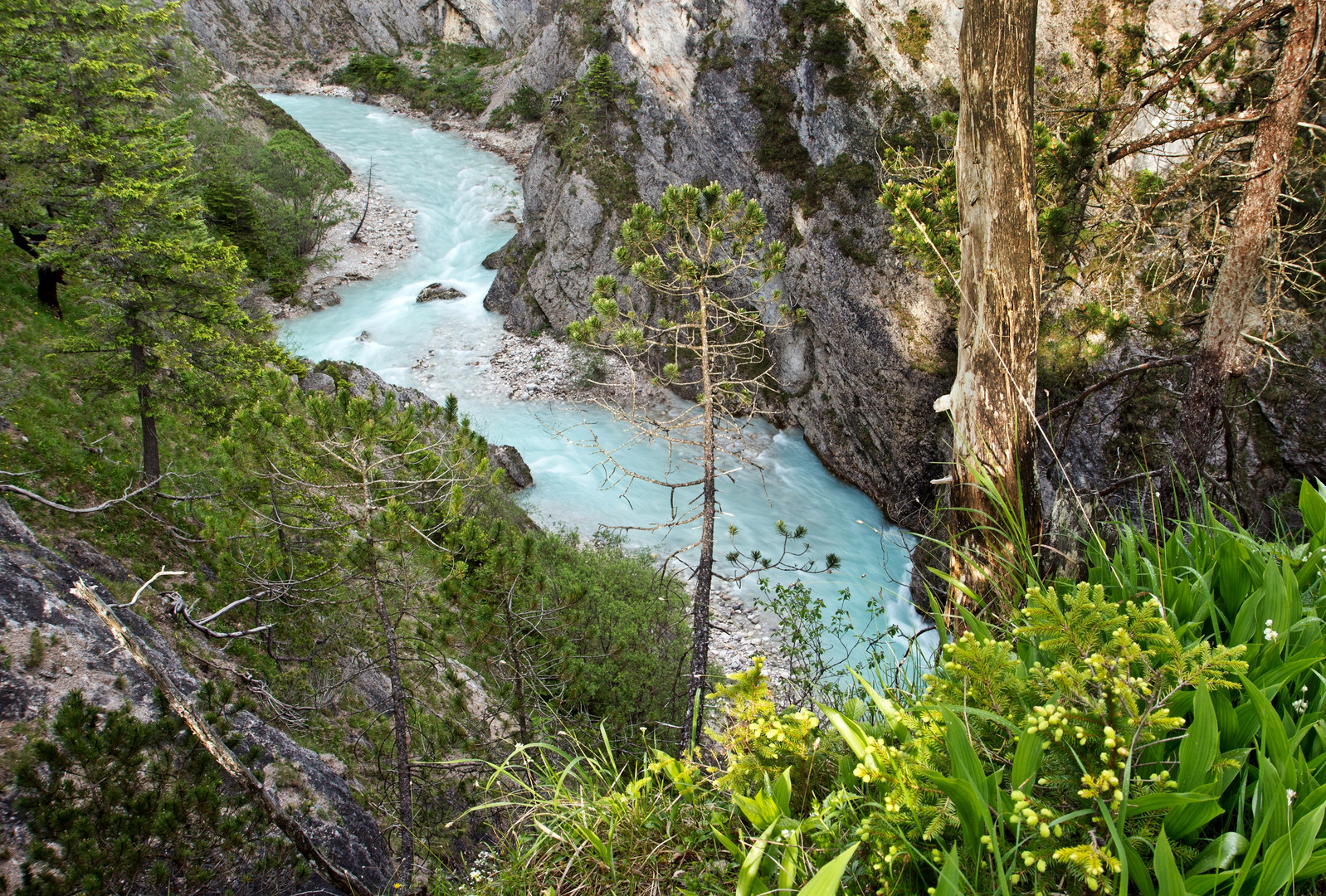 isarschlucht im abendlicht