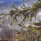 Isartal zwischen Karwendelgebirge und Sylvensteinstausee