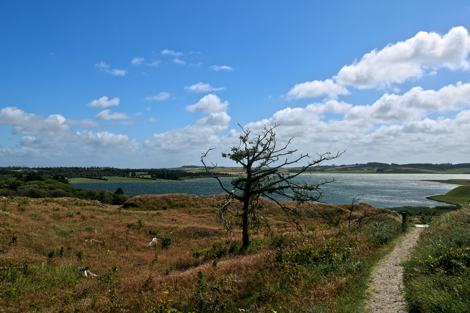 Isbjerg - Thy Nationalpark (1)