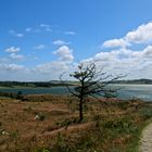 Isbjerg - Thy Nationalpark (1)