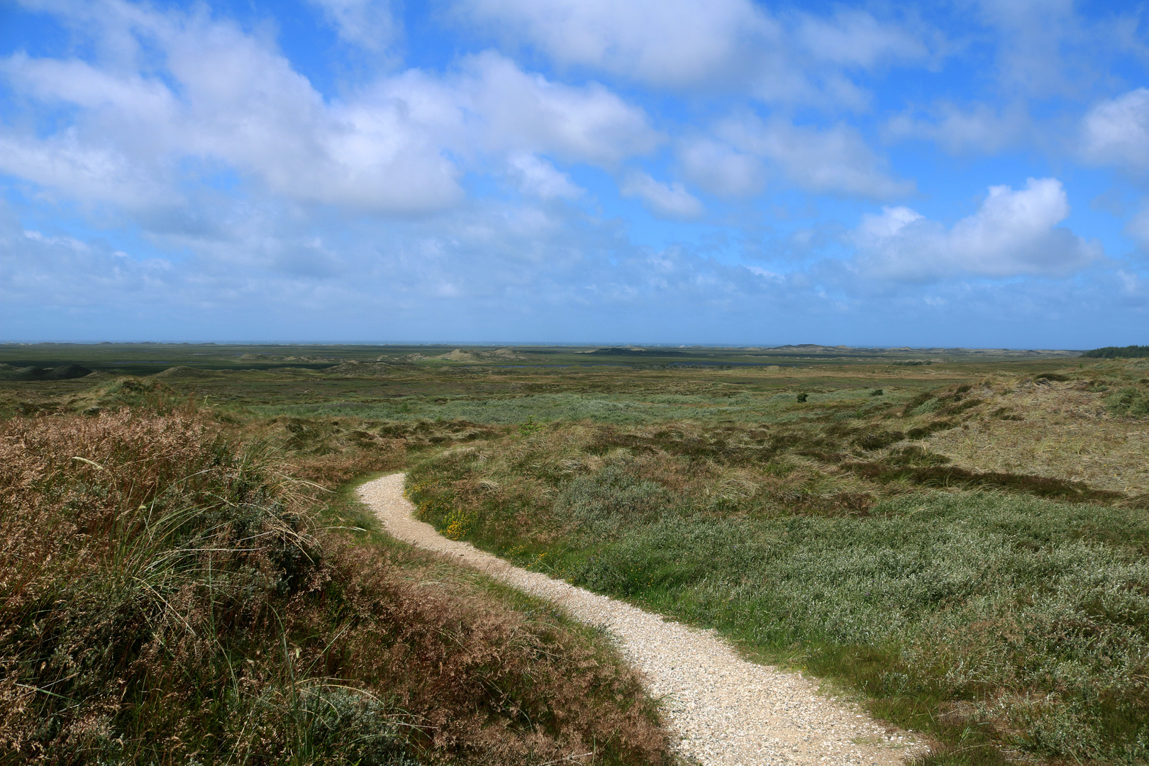 Isbjerg - Thy Nationalpark (2)