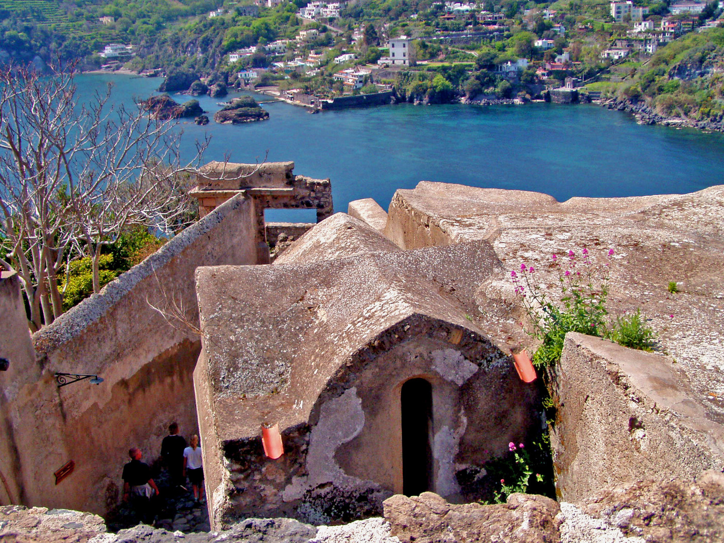 Ischia #4