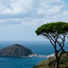 Ischia - Blick auf Sant Angelo