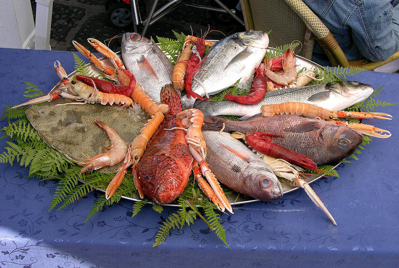 Ischia - Fischrestaurant im Hafen von Porto