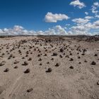 Ischigualasto